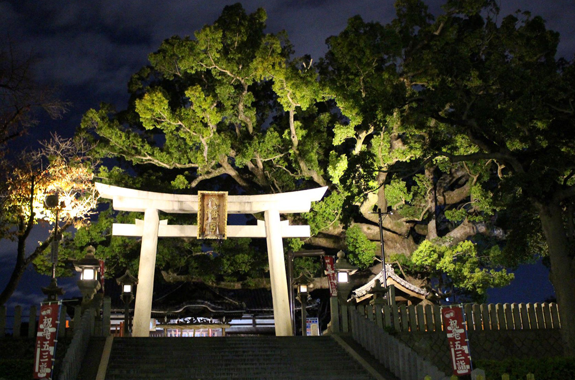 写真：夜の風景